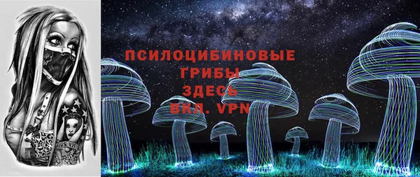 индика Верхнеуральск