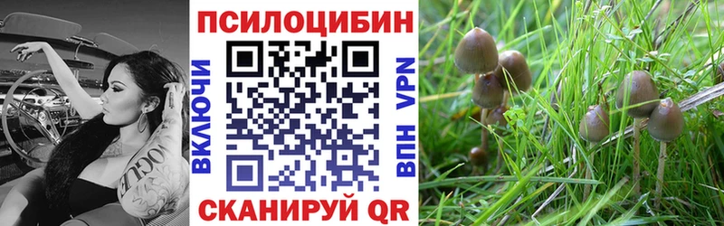 Псилоцибиновые грибы мухоморы  Вятские Поляны 